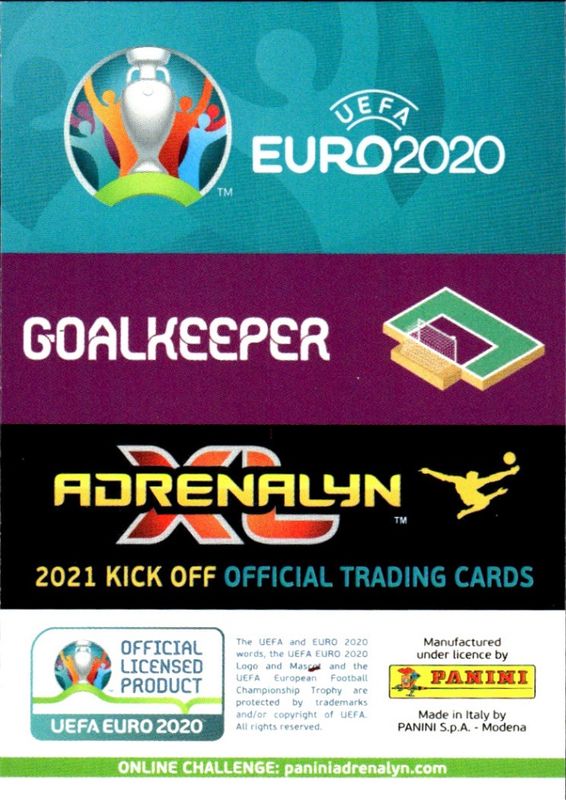 PANINI Adrenalyn Euro 2020 kick off Wayne HENNESSEY Wales No. 295